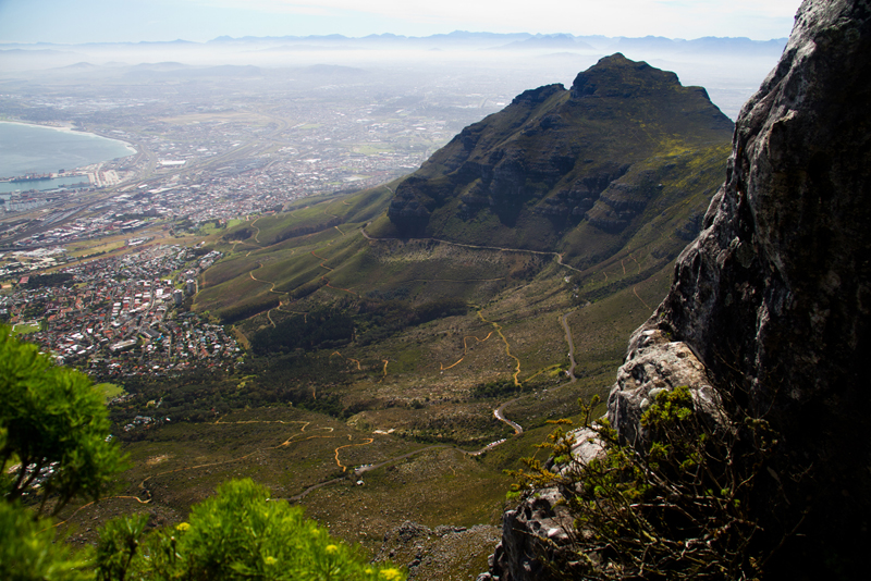 View from the Top